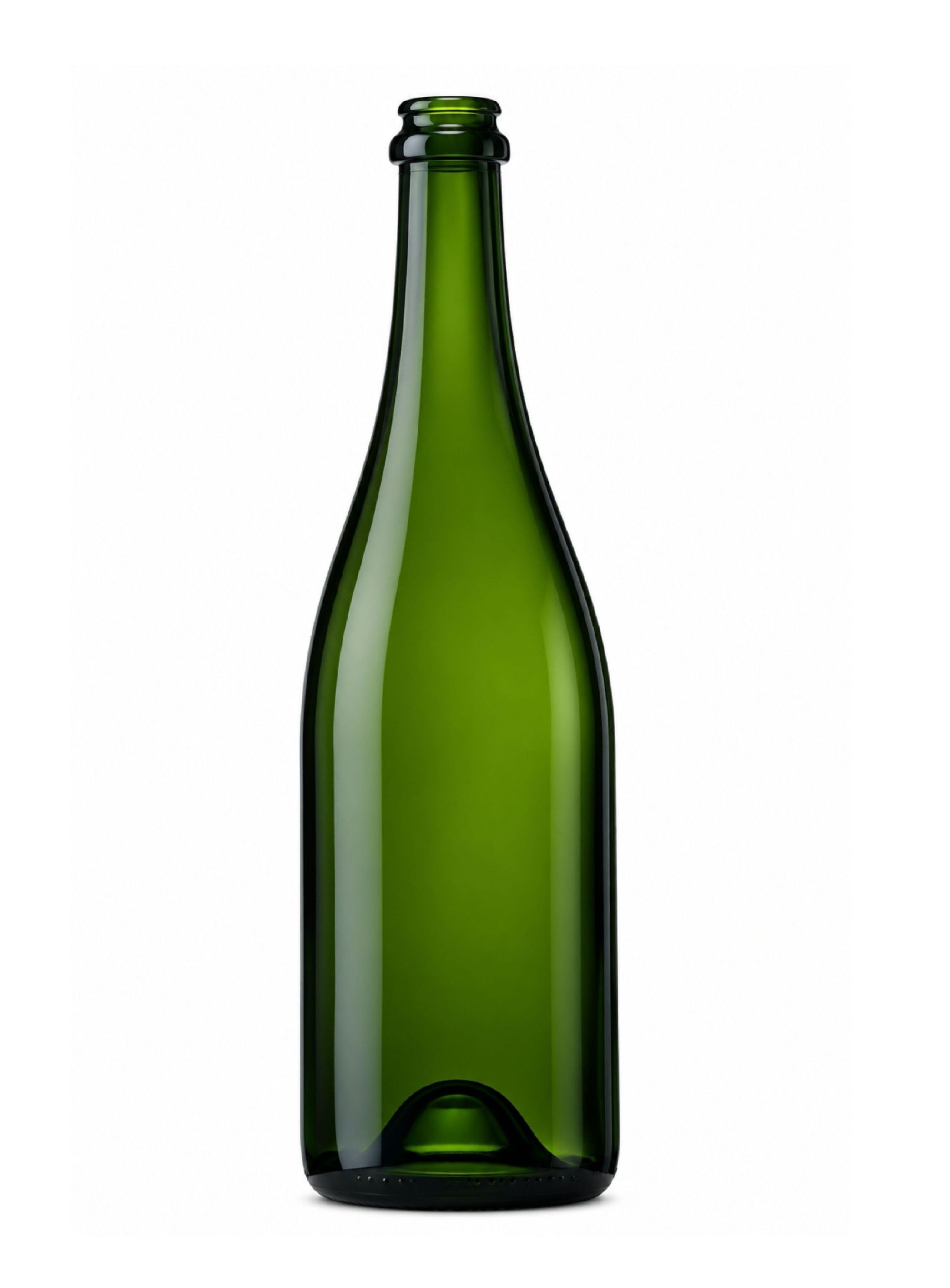 Espumante Champenoise 750 ml